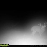 Unique Hunting Land for sale in Richland County WI
