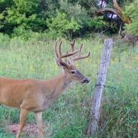 Unique Hunting Land for sale in Richland County WI images 3
