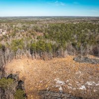 BB Homestead images 2
