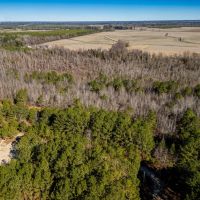 10.44 acres of Residential and Recreational Land For Sale in Robeson County NC images 4
