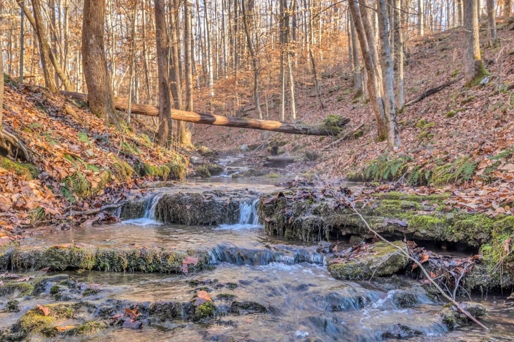 60.4 surveyed hunting recreational acres located in DeKalb County Tennessee featured image