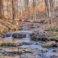 60.4 surveyed hunting recreational acres located in DeKalb County Tennessee
