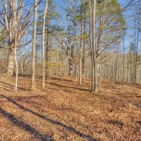 60.4 surveyed hunting recreational acres located in DeKalb County Tennessee images 4
