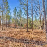 60.4 surveyed hunting recreational acres located in DeKalb County Tennessee images 5