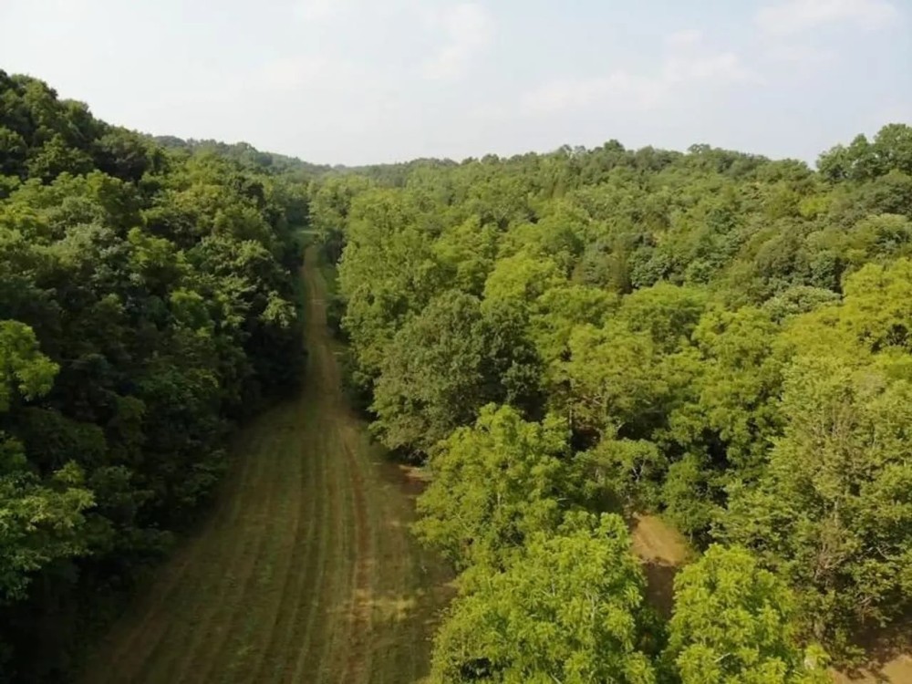 136 Acres Switzerland County featured image