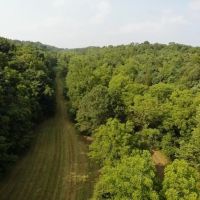 136 Acres Switzerland County