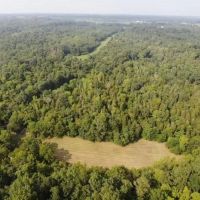 136 Acres Switzerland County images 4