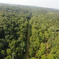 136 Acres Switzerland County images 5