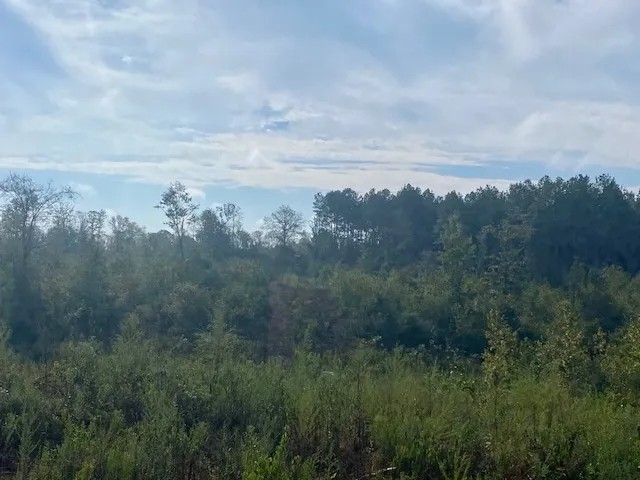 107 acres Fred Bacot Road featured image