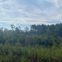 107 acres Fred Bacot Road