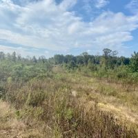 107 acres Fred Bacot Road images 4