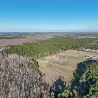 26 acres of Land and Farmhouse For Sale in Washington County NC images 4
