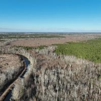 26 acres of Land and Farmhouse For Sale in Washington County NC images 5