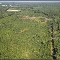 88 Acres in Choctaw County in Ackerman MS images 4