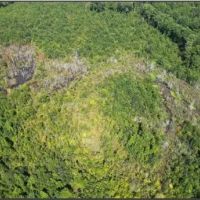 88 Acres in Choctaw County in Ackerman MS images 5