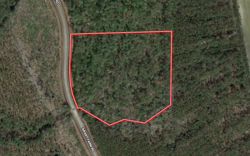 10.14 acres of Residential Timberland For Sale in Pamlico County NC featured image