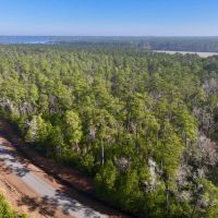 10.14 acres of Residential Timberland For Sale in Pamlico County NC images 2