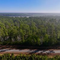 10.14 acres of Residential Timberland For Sale in Pamlico County NC images 3