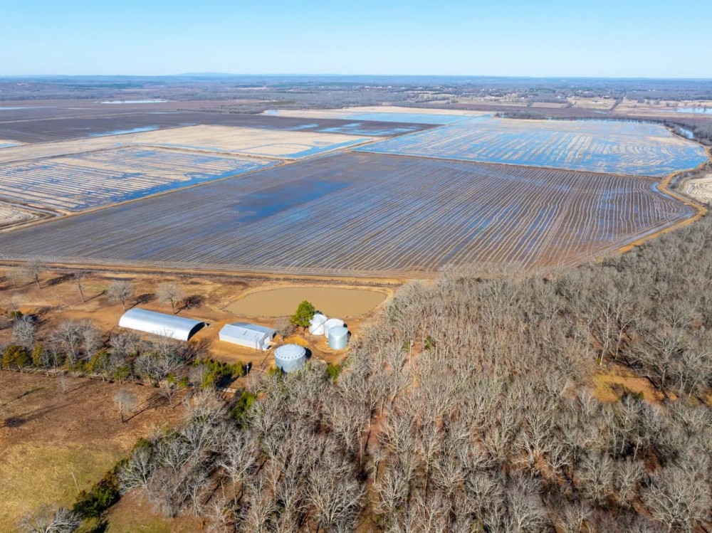 485 - Row Crop Acres Grain Storage Conway Arkansas featured image