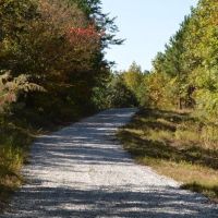 Tract 3 - 26.07 Acre Lot On Ambler School Road images 3