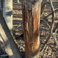 Little Vermillion 32 images 5