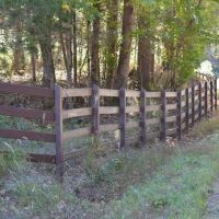 Tract 1- 10 Acre Lot On Ambler School Road images 3