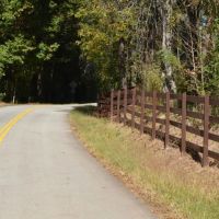 Tract 1- 10 Acre Lot On Ambler School Road images 4