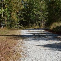 Tract 1- 10 Acre Lot On Ambler School Road images 5
