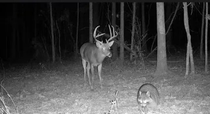 52.84 - AC Charlie Rhodus Rd Magnolia MS 39652 featured image