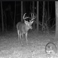 52.84 - AC Charlie Rhodus Rd Magnolia MS 39652