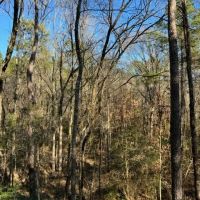 52.84 - AC Charlie Rhodus Rd Magnolia MS 39652 images 3