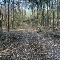 52.84 - AC Charlie Rhodus Rd Magnolia MS 39652 images 4