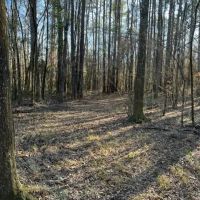 52.84 - AC Charlie Rhodus Rd Magnolia MS 39652 images 5