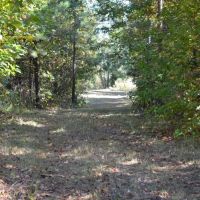 Tract 4 - 47.37 Acre Lot On Ambler School Road images 5