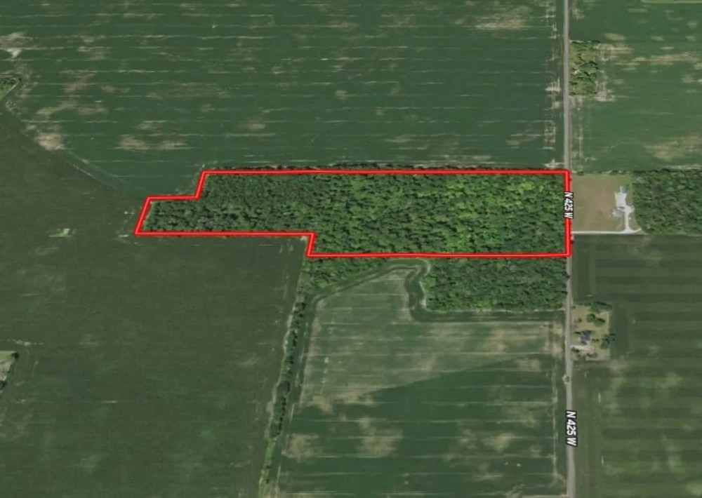 30 Acres Woods - Henry County IN featured image