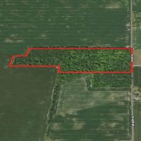 30 Acres Woods - Henry County IN