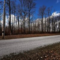 30 Acres Woods - Henry County IN images 3