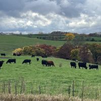 2000 acres Northeast iowa