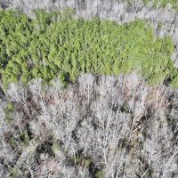 5.12 acres of Recreational Timberland For Sale in Warren County NC images 3