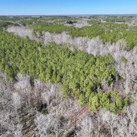 5.12 acres of Recreational Timberland For Sale in Warren County NC images 4
