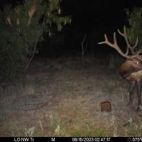 Wichita Mountains 320