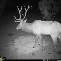 Wichita Mountains 320 images 3