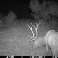 Wichita Mountains 320 images 4