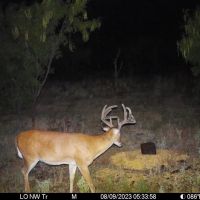 Wichita Mountains 320 images 5