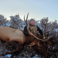 Colorado Elk, Bear, Mule Deer Hunts