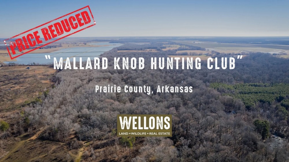 Mallard Knob Hunting Club featured image