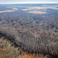 Mallard Knob Hunting Club images 4
