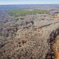 Mallard Knob Hunting Club images 5