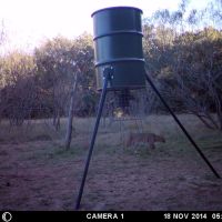 Glen Rose Annual Lease