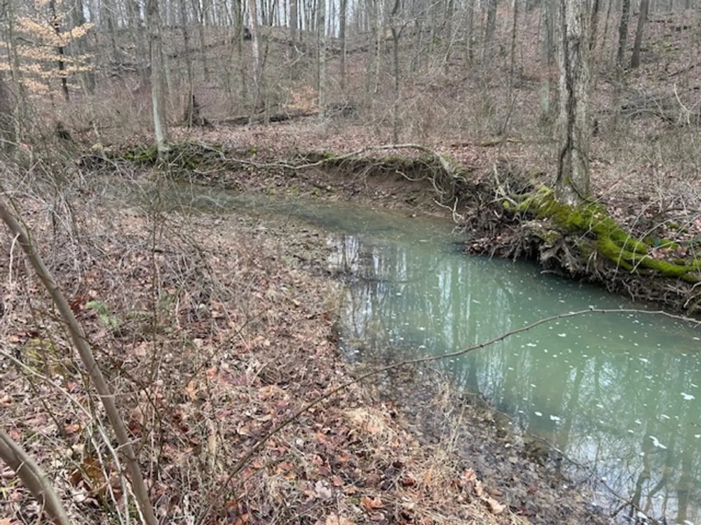 Land For sale in Dubois County 30 Acres - featured image
